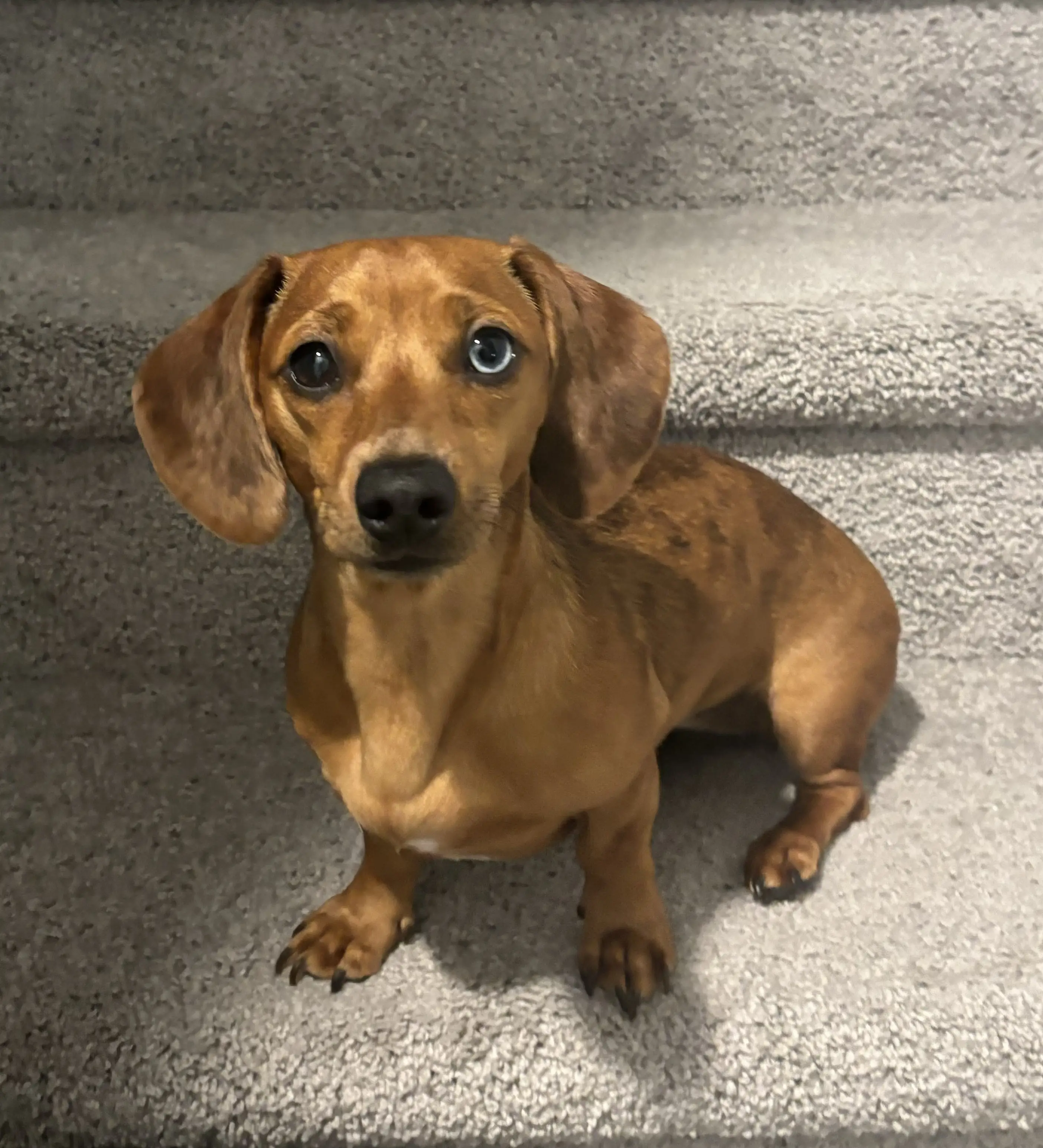 Lilo on stairs